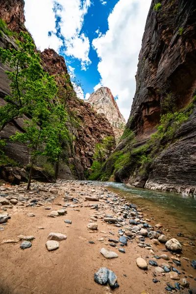 The Narrows, Zion