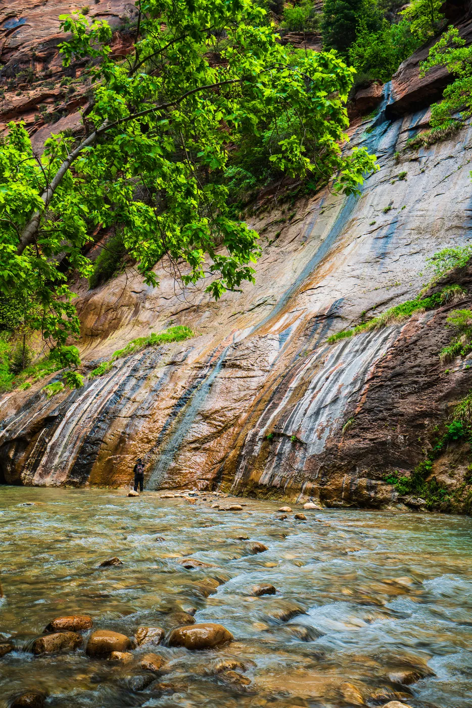The Narrows, Zion