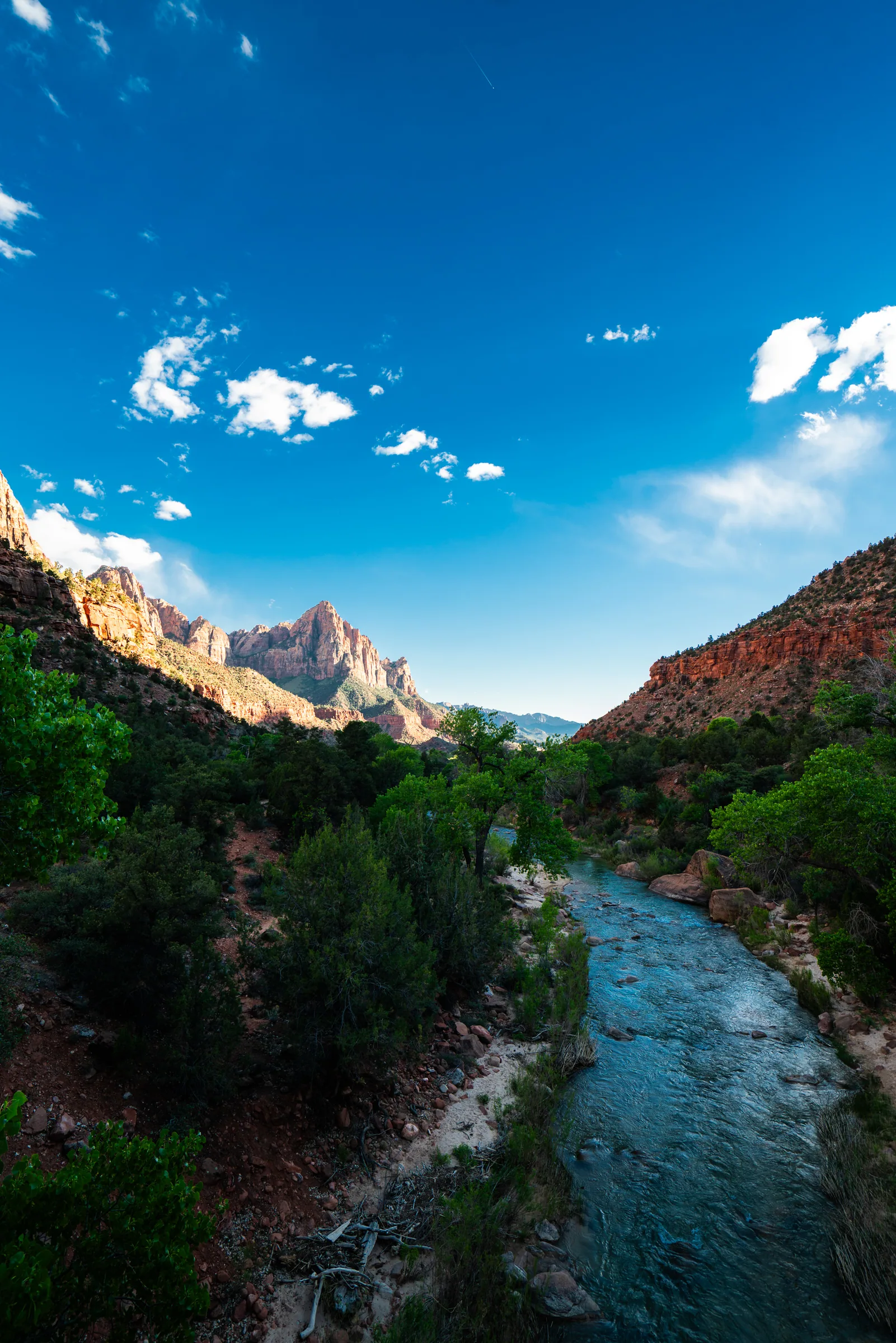Zion, Zion
