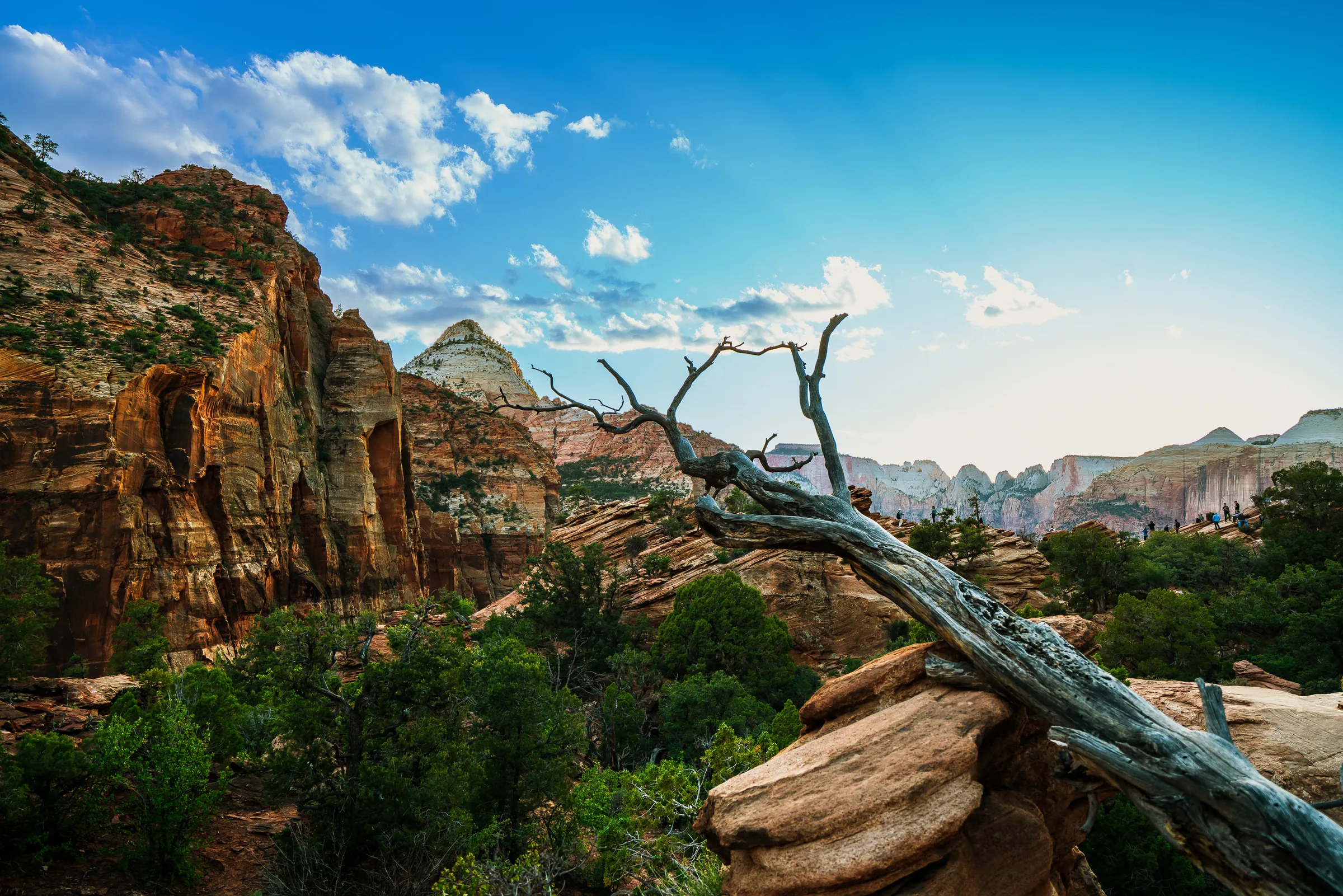 Overlook Canyon, Zion