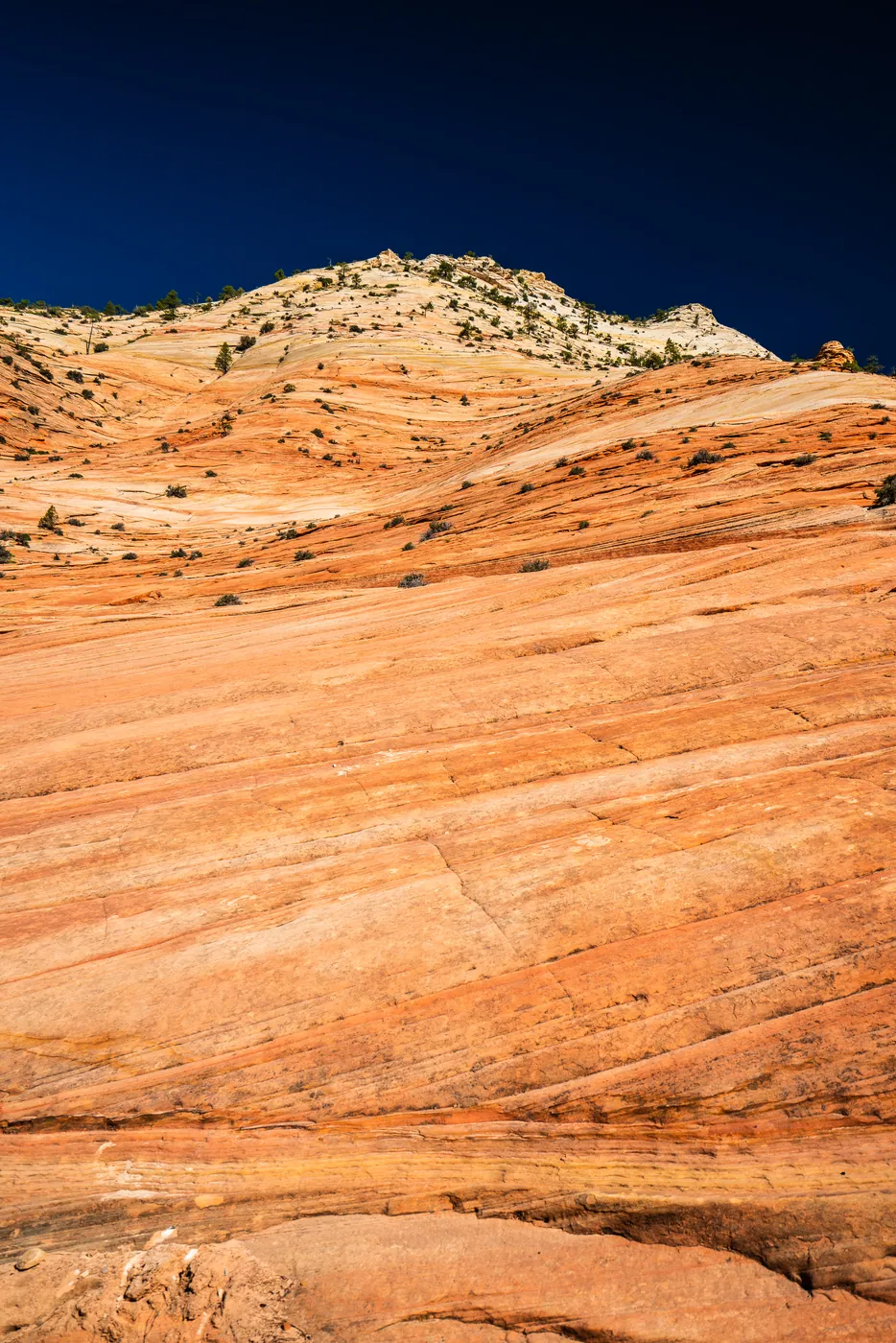Rock Formations, Zion