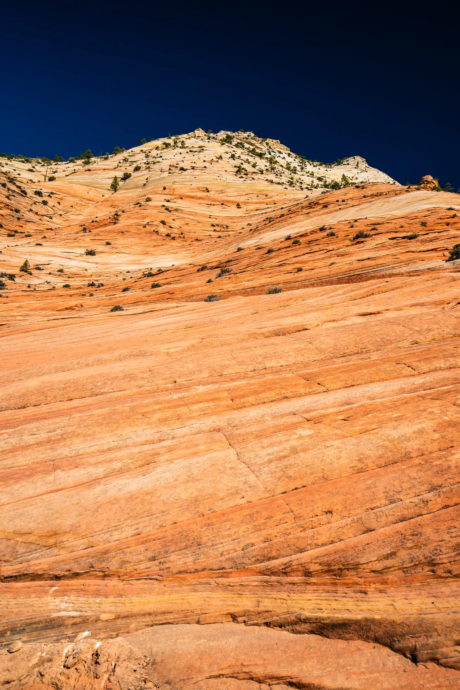 Rock Formations, Zion