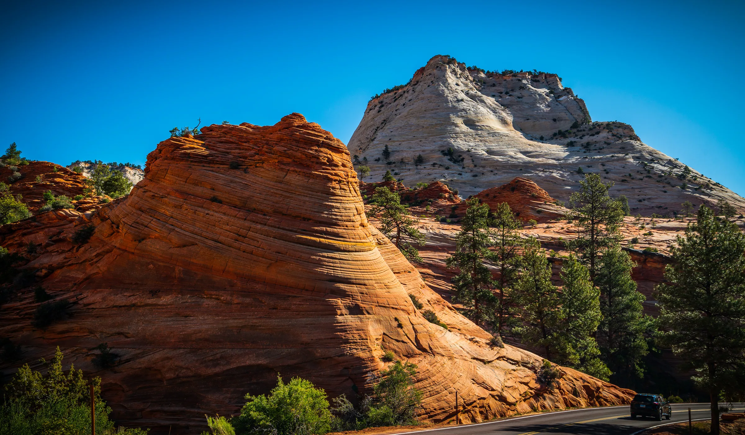 Rock Formations, Zion