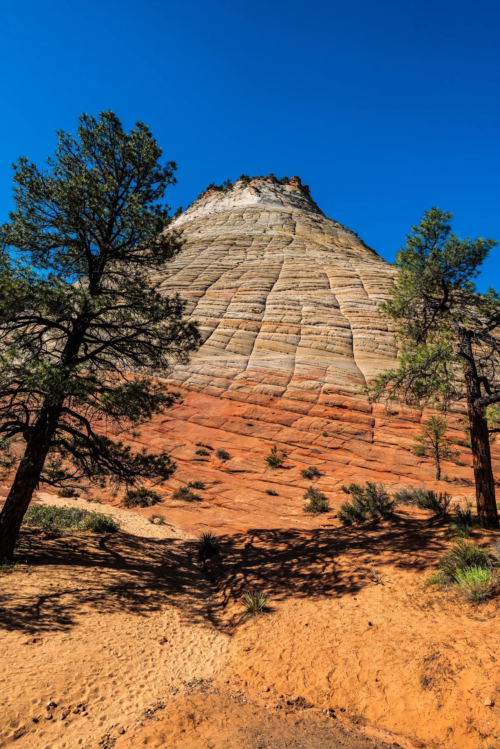 Checkerboard Mesa, Zion